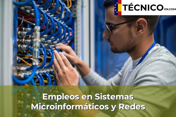 Empleo en Sistemas Microinformáticos y Redes