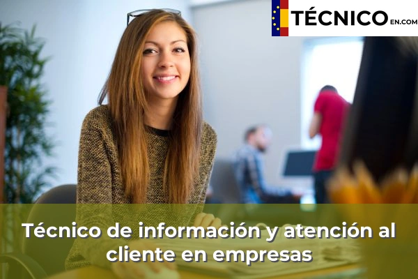 Representante comercial 65 Técnico de información y atención al cliente en empresas