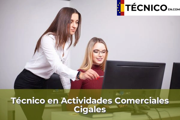 Técnico Medio en Actividades Comerciales en Medina del Campo 5 Técnico Medio en Actividades Comerciales en Cigales