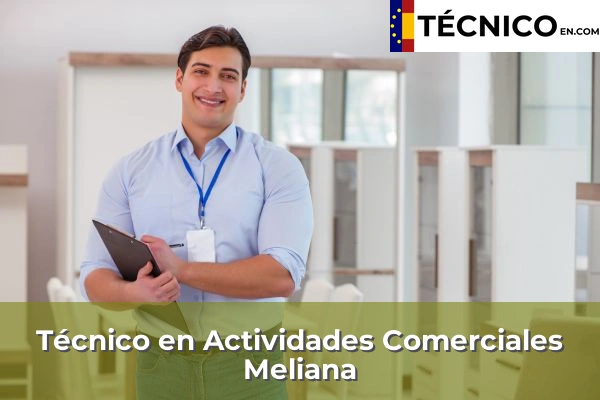 Técnico Medio en Actividades Comerciales en Meliana