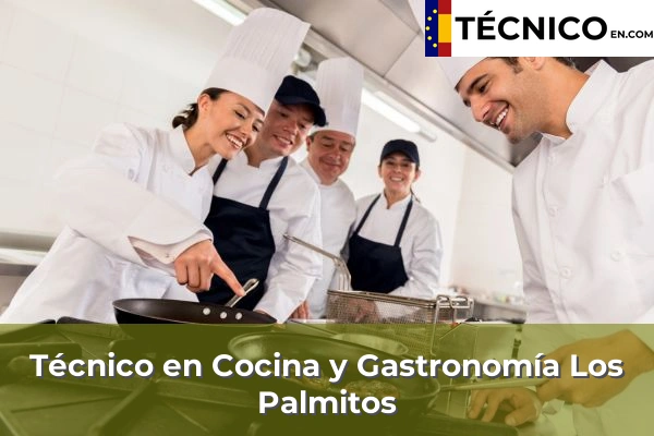 Técnico en Cocina y Gastronomía en Playa de Melenara 21 Técnico en Cocina y Gastronomía en Los Palmitos