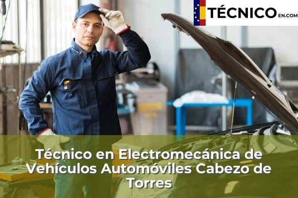 Técnico en Electromecánica de Vehículos Automóviles en Lorca 18 Técnico en Electromecánica de Vehículos Automóviles en Cabezo de Torres