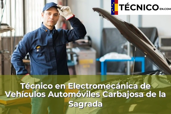 Técnico en Electromecánica de Vehículos Automóviles en Carbajosa de la Sagrada