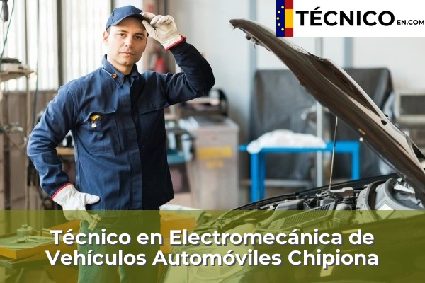 Técnico en Electromecánica de Vehículos Automóviles en San Enrique 12 Técnico en Electromecánica de Vehículos Automóviles en Chipiona