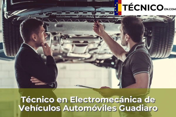 Técnico en Electromecánica de Vehículos Automóviles en San Enrique 20 Técnico en Electromecánica de Vehículos Automóviles en Guadiaro