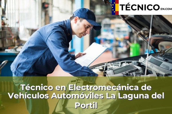 Técnico en Electromecánica de Vehículos Automóviles en La Laguna del Portil
