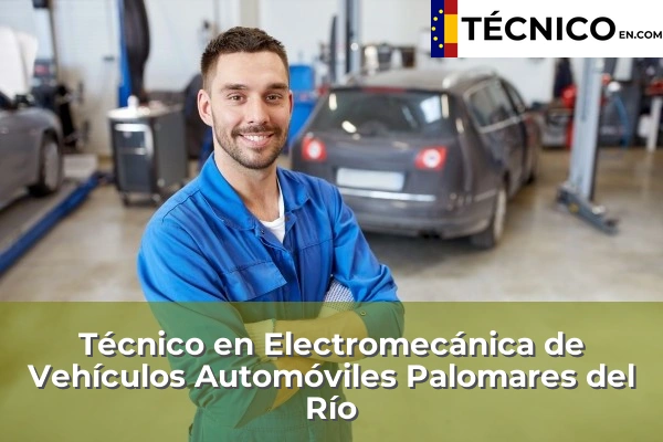 Técnico Medio en Electromecánica de Vehículos Automóviles en Palomares del Río