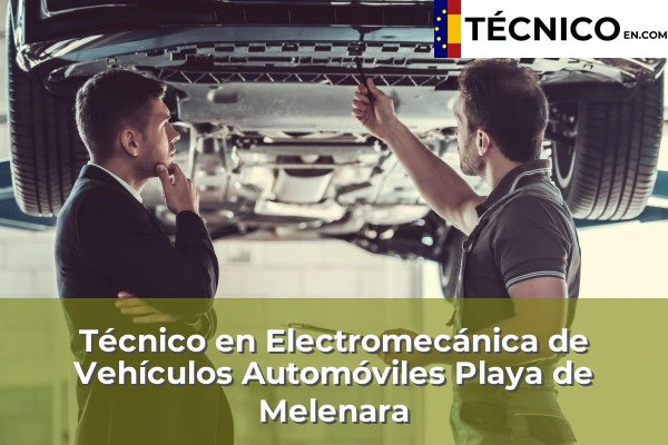 Técnico en Electromecánica de Vehículos Automóviles en Playa de Melenara