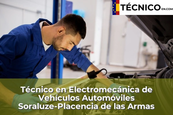 Técnico en Electromecánica de Vehículos Automóviles en Soraluze-Placencia de las Armas