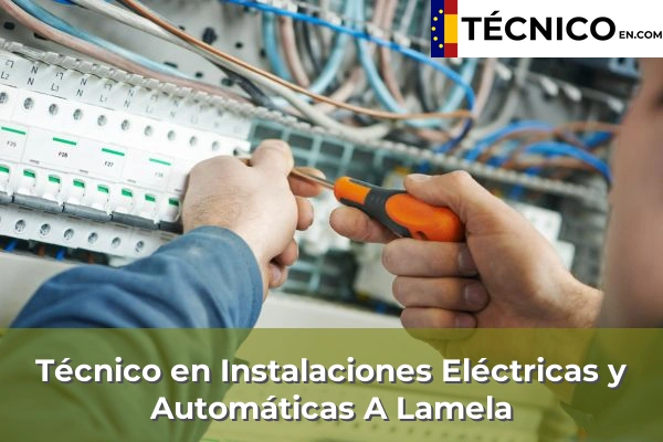 Técnico en Instalaciones Eléctricas y Automáticas en Vilamarín 5 Técnico en Instalaciones Eléctricas y Automáticas en A Lamela