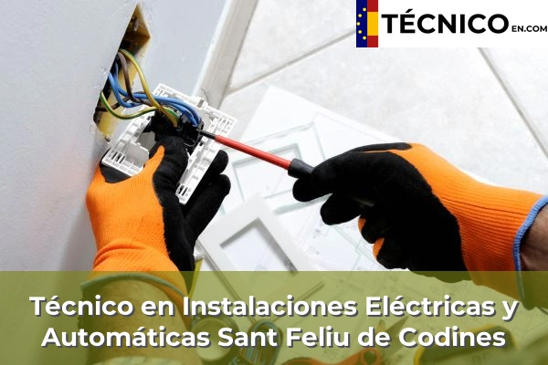 Técnico en Instalaciones Eléctricas y Automáticas en Sant Feliu de Codines