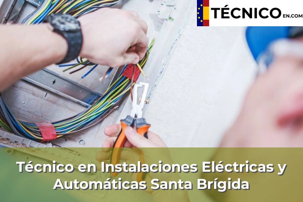 Técnico Medio en Instalaciones Eléctricas y Automáticas en Santa Brígida