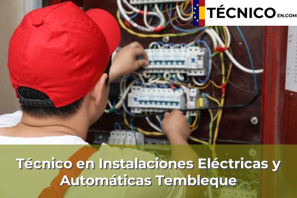 Técnico Medio en Instalaciones Eléctricas y Automáticas en Tembleque