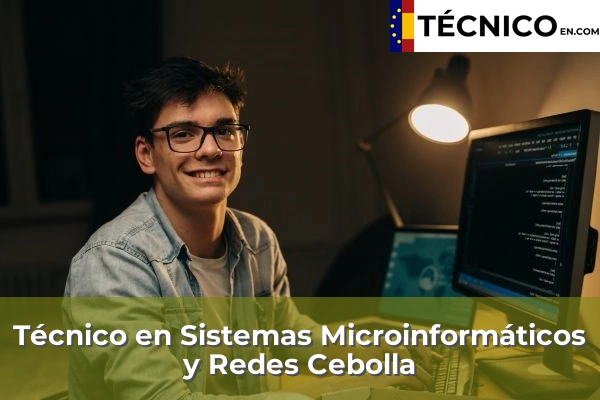 Técnico Medio en Sistemas Microinformáticos y Redes en Toledo 9 Técnico Medio en Sistemas Microinformáticos y Redes en Cebolla