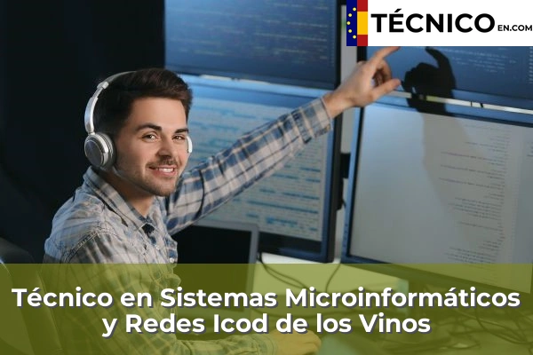 Técnico Medio en Sistemas Microinformáticos y Redes en Icod de los Vinos