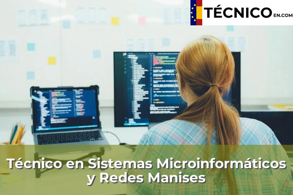 Técnico Medio en Sistemas Microinformáticos y Redes en Rótova 119 Técnico Medio en Sistemas Microinformáticos y Redes en Manises
