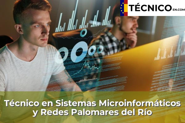 Técnico Medio en Sistemas Microinformáticos y Redes en Palomares del Río