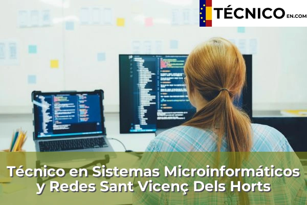 Técnico en Sistemas Microinformáticos y Redes en Sant Vicenç Dels Horts